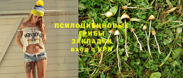 jwh Новозыбков