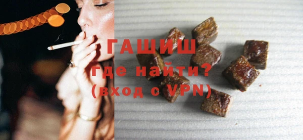 индика Няндома