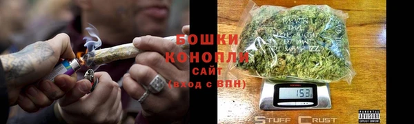 индика Няндома