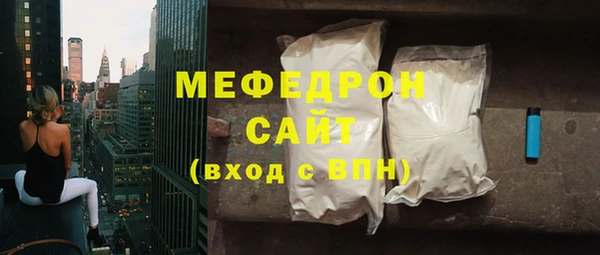 индика Няндома