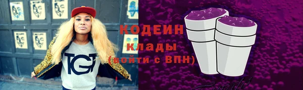 индика Няндома