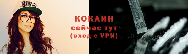 индика Няндома