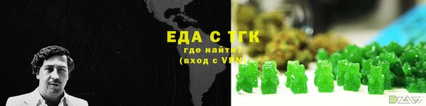 индика Няндома