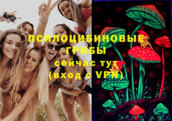 прущая мука Новодвинск