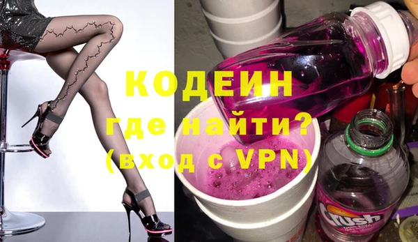 индика Няндома