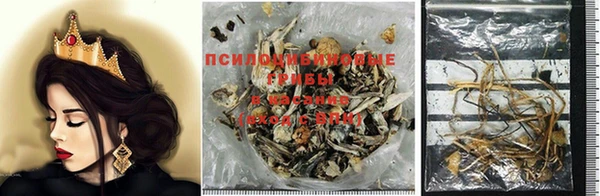 jwh Новозыбков