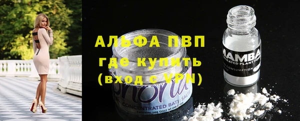 индика Няндома