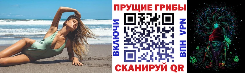Галлюциногенные грибы Cubensis Приморско-Ахтарск