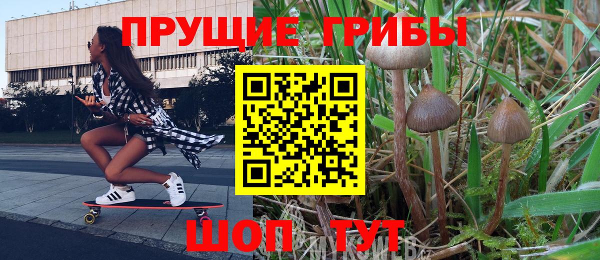 Псилоцибиновые грибы GOLDEN TEACHER  Вход с VPN  Приморско-Ахтарск 