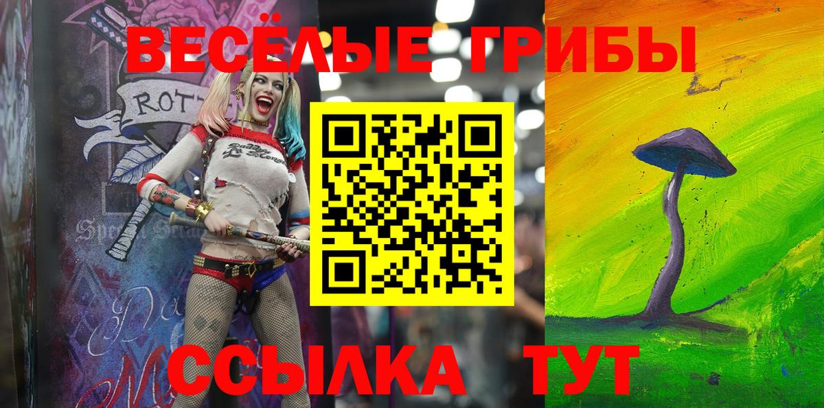 Галлюциногенные грибы ЛСД Приморско-Ахтарск